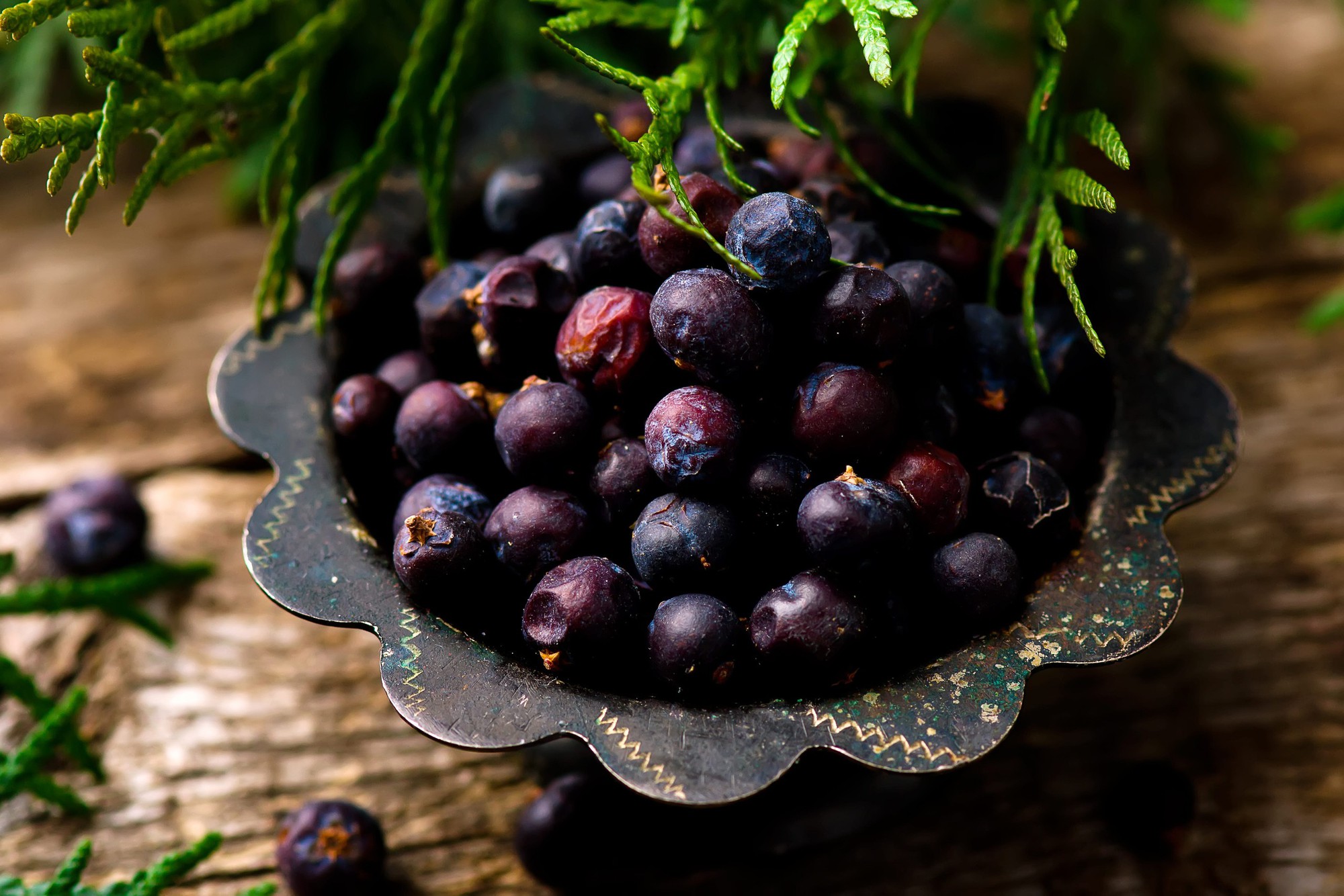 grains-and-branches-of-a-juniper-on-a-wooden-table-royalty-free-image-1763104724-1769420169555285134325-1769421462345-1769421462510406861842.jpg