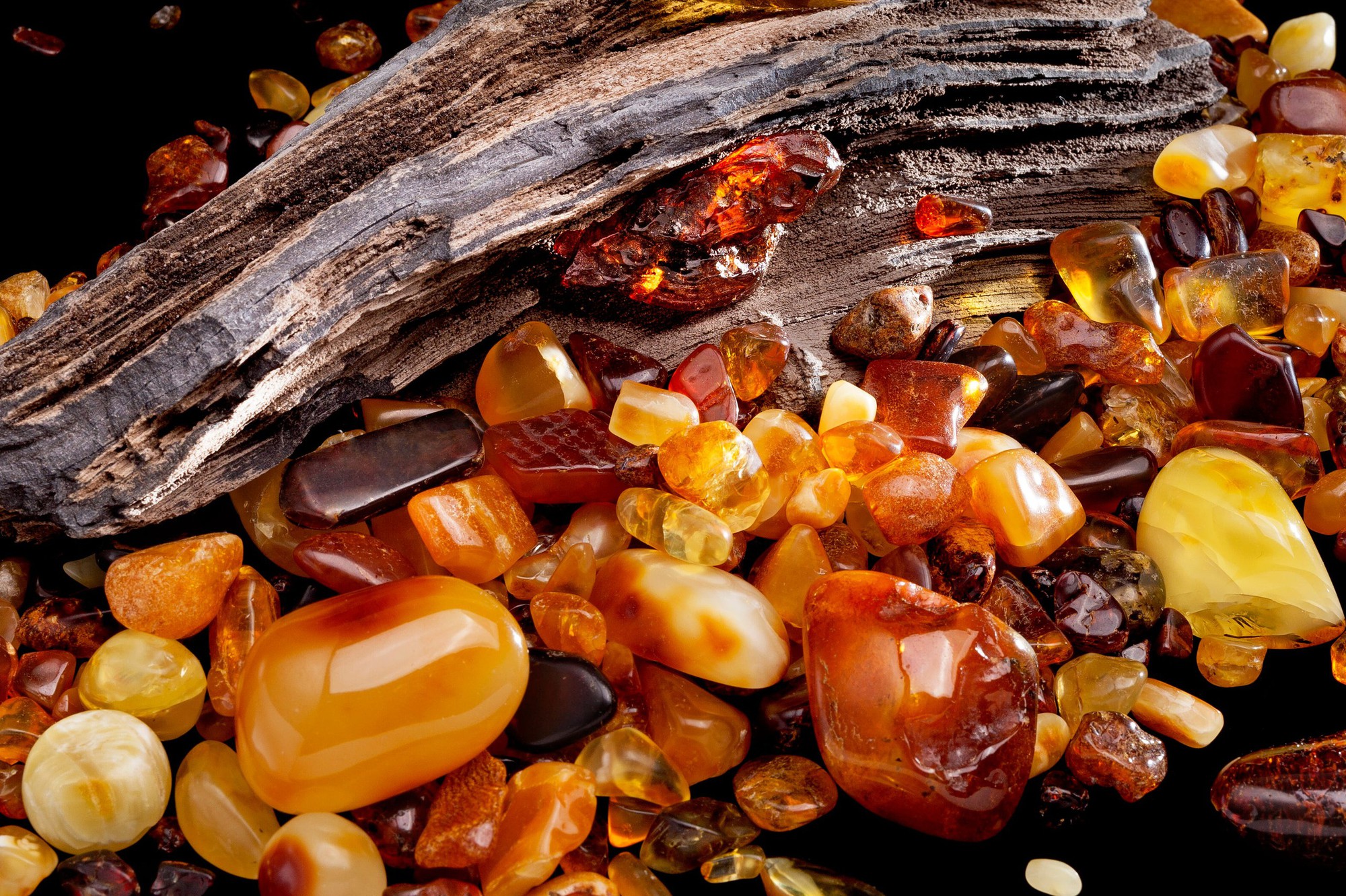 natural-amber-many-pieces-of-different-colors-of-royalty-free-image-1763104551-1769420115131736447216-1769421456913-17694214571171812851727.jpg