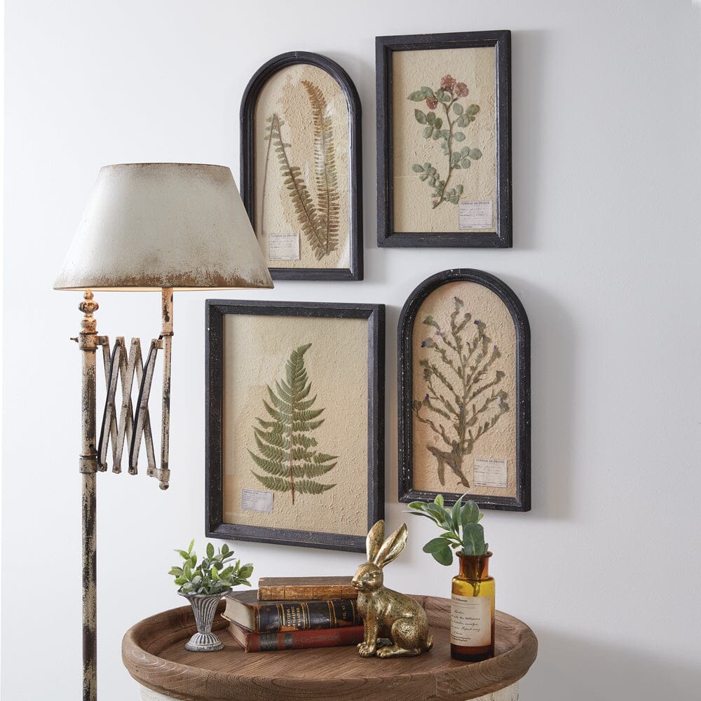 pressed-botanical-wall-decor-boston-fern-31080x-1769411423534-17694114243332017746565.jpg