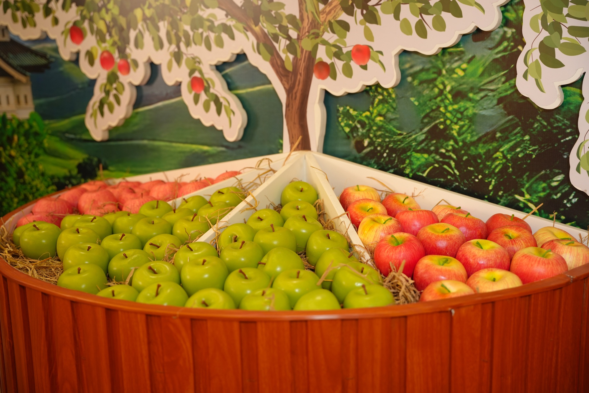 JA Zennoh Aomori tổ chức sự kiện quảng b&aacute; T&aacute;o Aomori tại AEON MALL T&acirc;n Ph&uacute; Celadon- Ảnh 4.