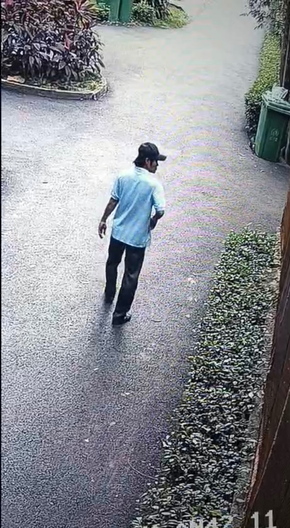 Giải cứu thiên nga trắng trị giá 60 triệu ở Thảo cầm viên Sài Gòn - Ảnh 1.