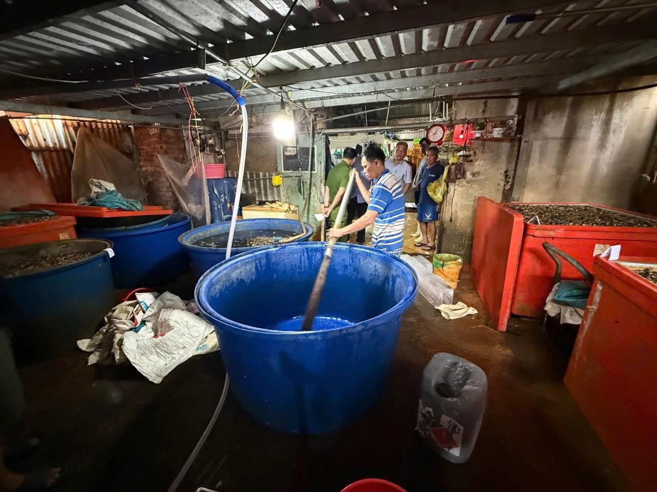 R&ugrave;ng m&igrave;nh ph&aacute;t hiện Cơ sở ng&acirc;m 3 . 000 Tấn thịt ốc bươu bằng h&oacute;a chất độc hại ở TP . HCM - Ảnh 2.