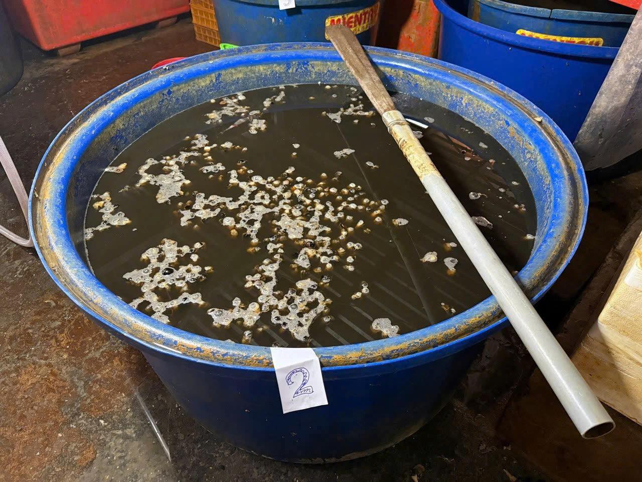 R&ugrave;ng m&igrave;nh ph&aacute;t hiện Cơ sở ng&acirc;m 3 . 000 Tấn thịt ốc bươu bằng h&oacute;a chất độc hại ở TP . HCM - Ảnh 1.