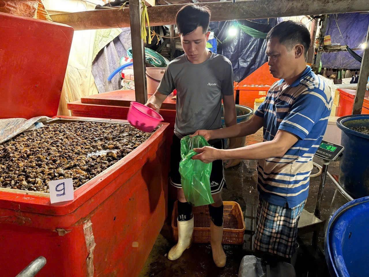 R&ugrave;ng m&igrave;nh ph&aacute;t hiện Cơ sở ng&acirc;m 3 . 000 Tấn thịt ốc bươu bằng h&oacute;a chất độc hại ở TP . HCM - Ảnh 4.