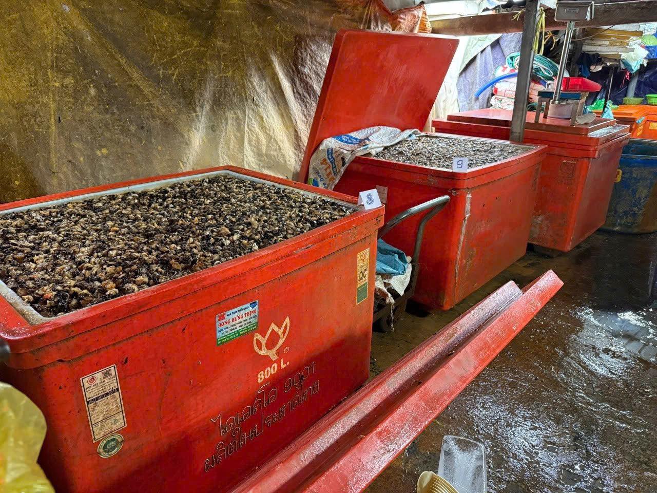 R&ugrave;ng m&igrave;nh ph&aacute;t hiện Cơ sở ng&acirc;m 3 . 000 Tấn thịt ốc bươu bằng h&oacute;a chất độc hại ở TP . HCM - Ảnh 7.