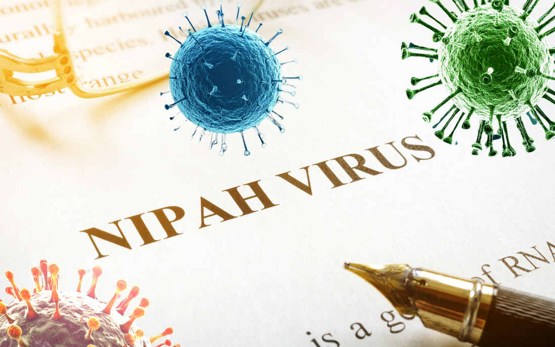 Virus Nipah c&oacute; khả năng trở th&agrave;nh đại dịch kh&ocirc;ng? Chuy&ecirc;n gia nhận định đường l&acirc;y v&agrave; khả năng xuất hiện tại Việt Nam - Ảnh 2.