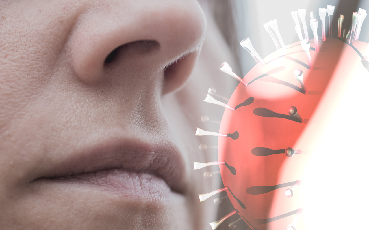 Infographic: Người nhiễm virus Nipah c&oacute; triệu chứng ban đầu như thế n&agrave;o? - Ảnh 1.