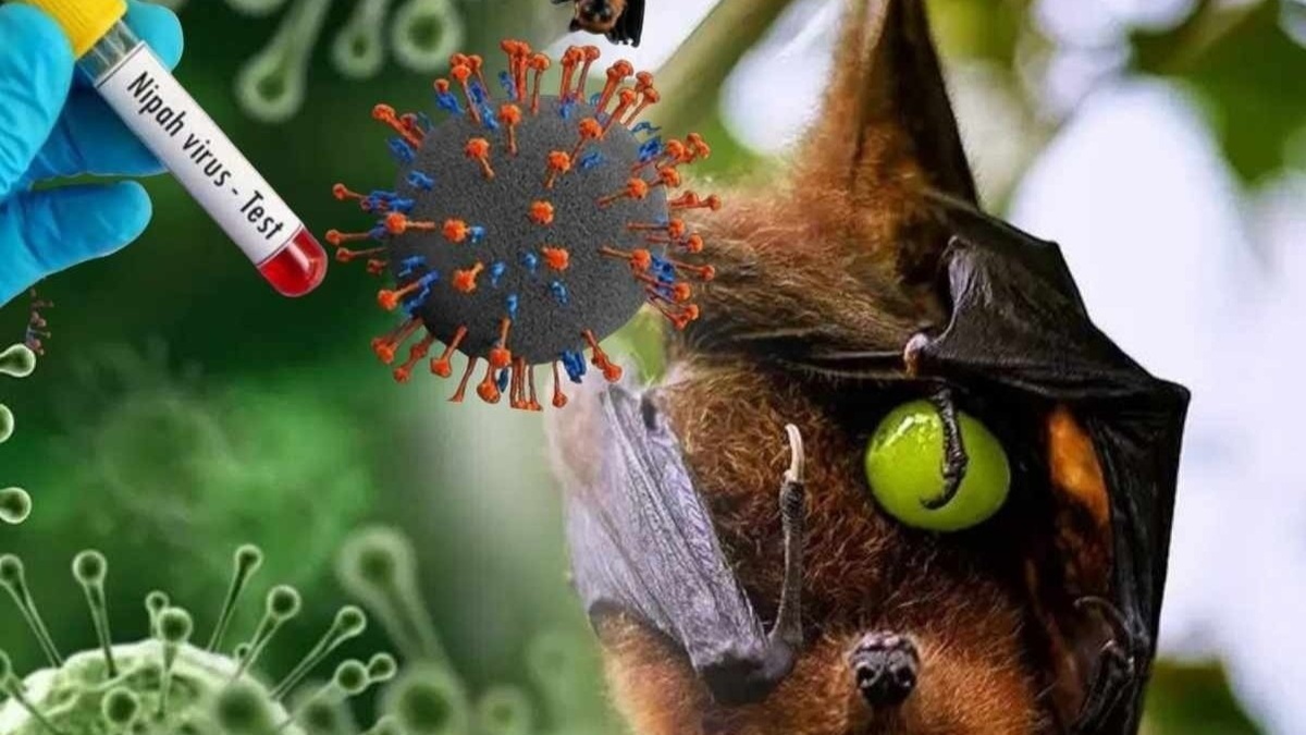 Virus Nipah c&oacute; khả năng trở th&agrave;nh đại dịch kh&ocirc;ng? Chuy&ecirc;n gia nhận định đường l&acirc;y v&agrave; khả năng xuất hiện tại Việt Nam - Ảnh 3.