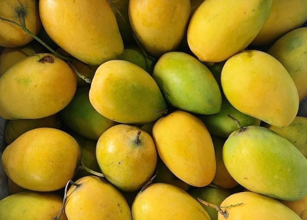 5 tr&aacute;i c&acirc;y Tết N&Ecirc;N mua: Đang &ldquo;m&ugrave;a v&agrave;ng&rdquo; gi&aacute; rẻ, chợ n&agrave;o cũng b&aacute;n- Ảnh 2.