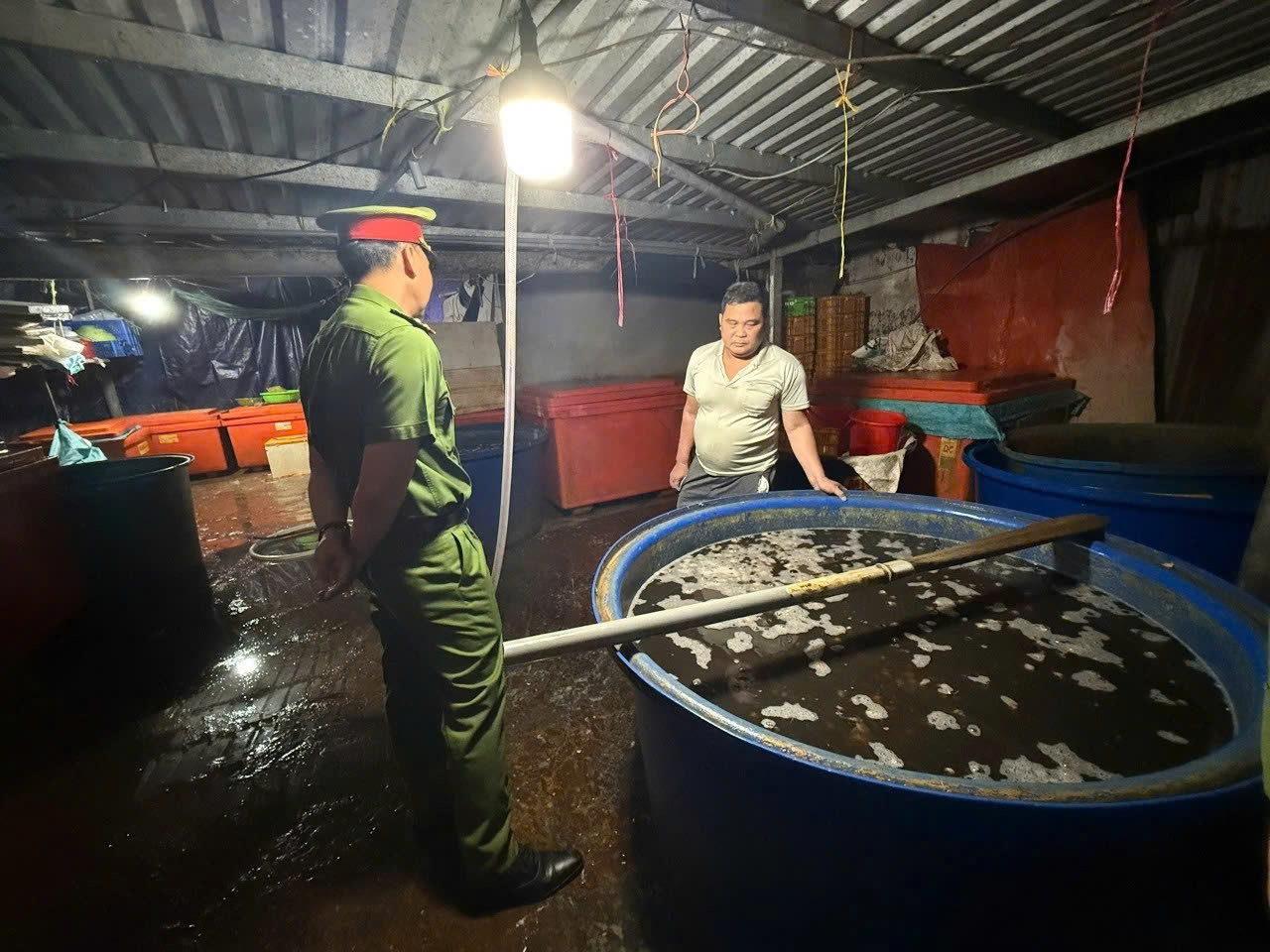 Lợi &iacute;ch v&agrave; quyền lợi của người ti&ecirc;u d&ugrave;ng khi ăn ốc bươu bị ng&acirc;m h&oacute;a chất - Ảnh 1.