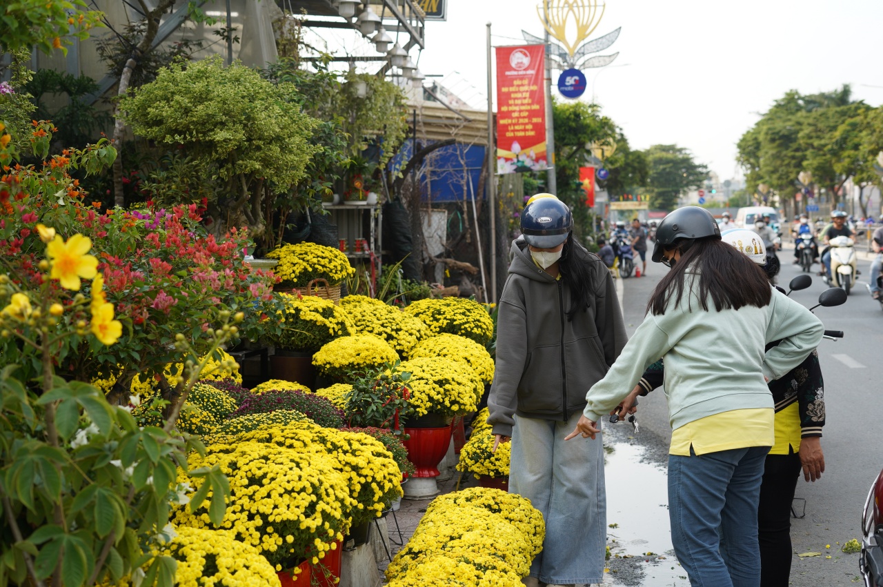 Ấm l&ograve;ng ng&agrave;y gi&aacute;p Tết: Người d&acirc;n TP.HCM chung tay giải cứu từng chậu c&uacute;c m&acirc;m x&ocirc;i, gi&uacute;p b&agrave; con n&ocirc;ng d&acirc;n miền T&acirc;y vơi bớt nỗi lo mất m&ugrave;a- Ảnh 12.