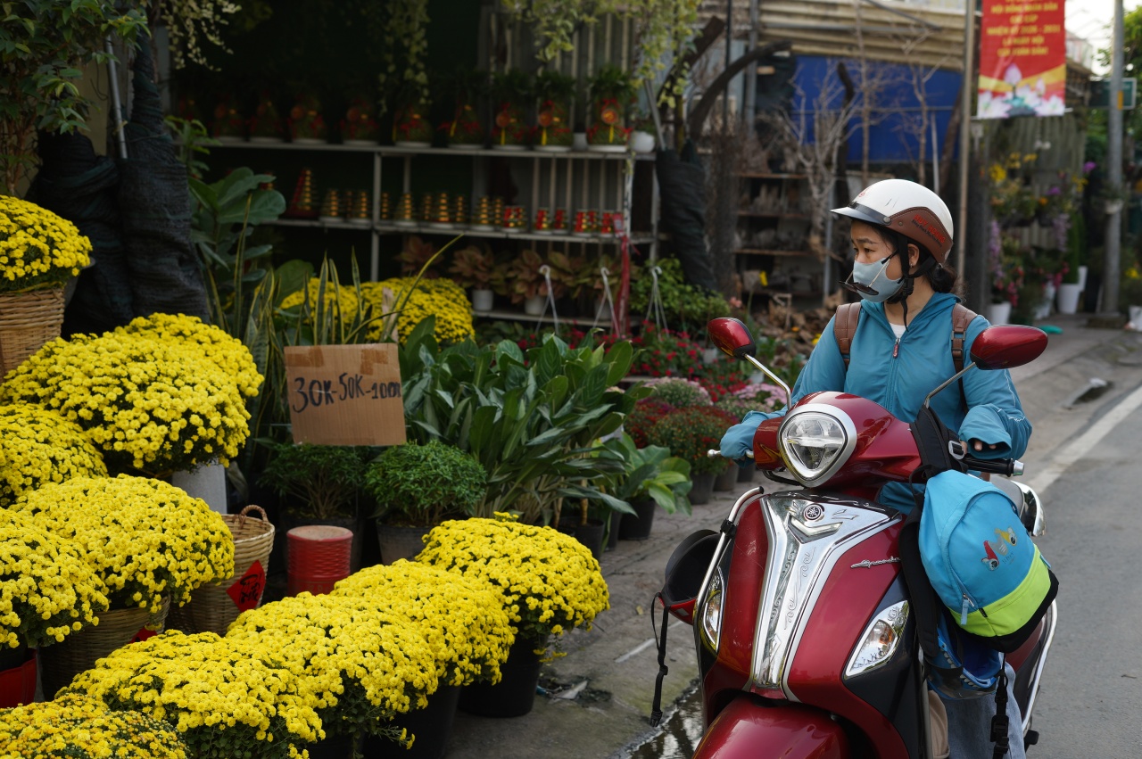 Ấm l&ograve;ng ng&agrave;y gi&aacute;p Tết: Người d&acirc;n TP.HCM chung tay giải cứu từng chậu c&uacute;c m&acirc;m x&ocirc;i, gi&uacute;p b&agrave; con n&ocirc;ng d&acirc;n miền T&acirc;y vơi bớt nỗi lo mất m&ugrave;a- Ảnh 8.