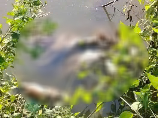 Nữ sinh C&agrave; Mau bị s&aacute;t hại: Cha mẹ đi l&agrave;m xa , sống c&ugrave;ng &ocirc;ng ngọai - Ảnh 1.