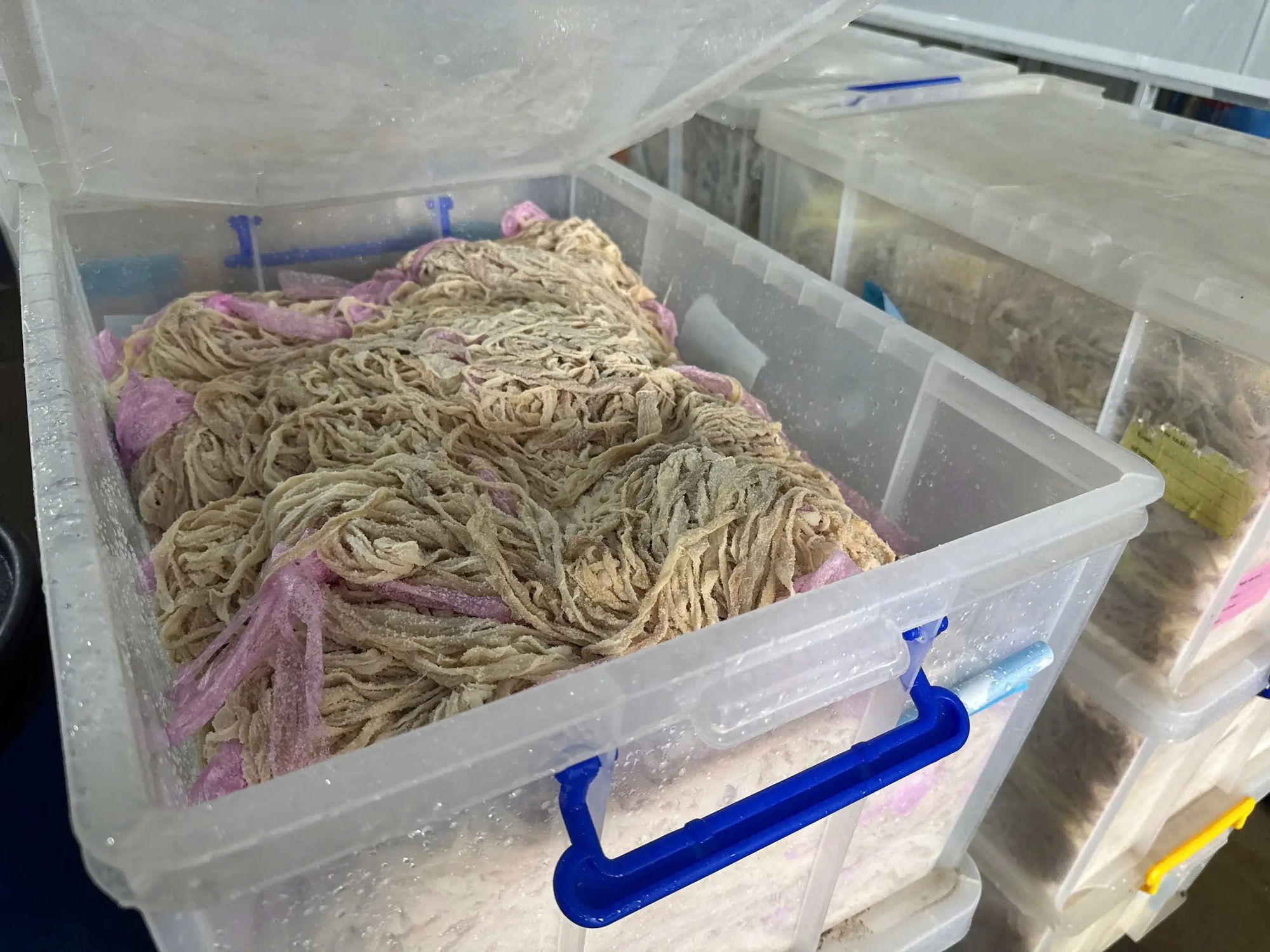 Cận cảnh 60 tấn l&ograve;ng lợn kh&ocirc;ng r&otilde; nguồn gốc bốc m&ugrave;i ở H&agrave; Nội chuẩn bị ti&ecirc;u thụ - Ảnh 11.