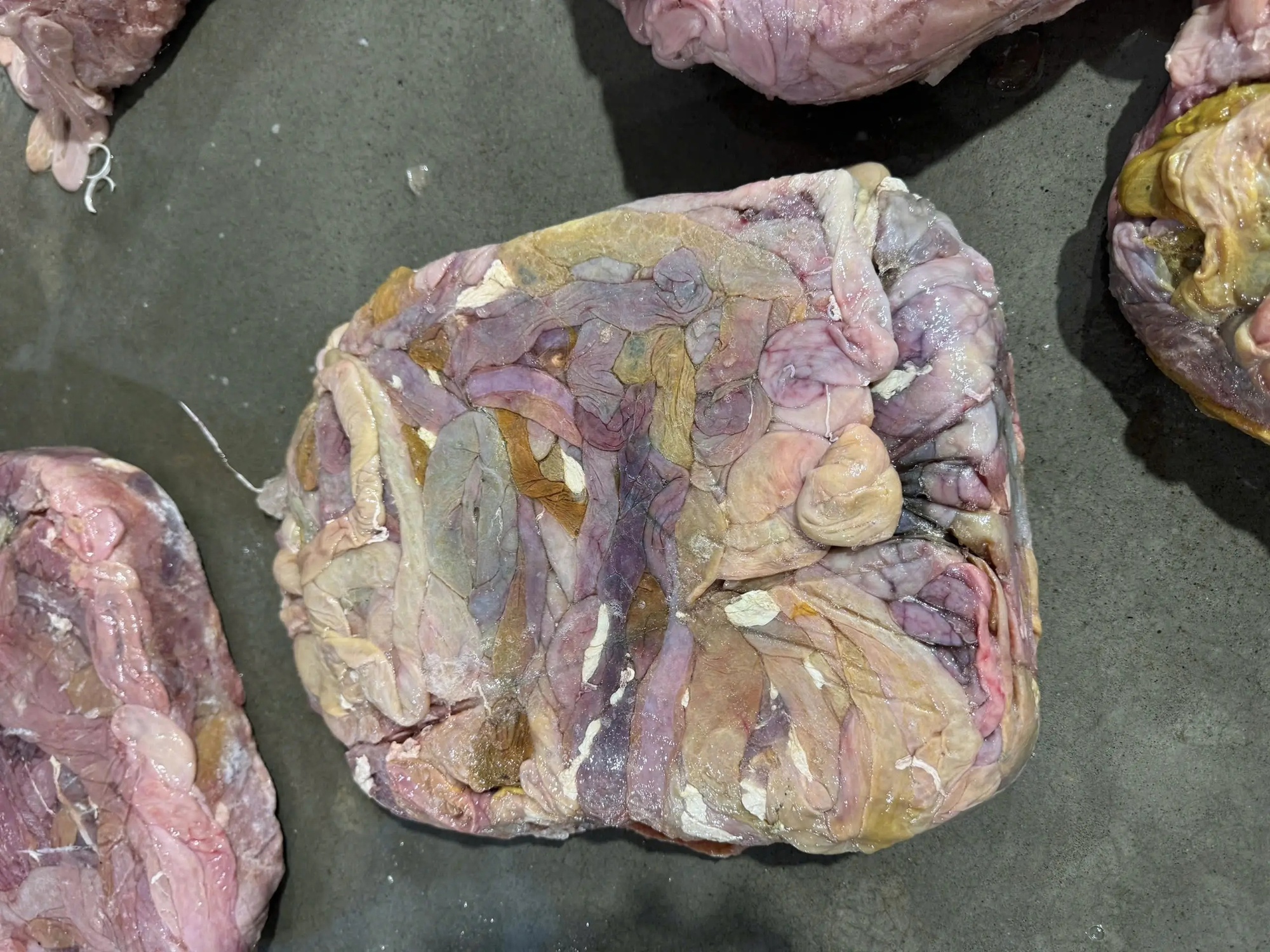 Cận cảnh 60 tấn l&ograve;ng lợn kh&ocirc;ng r&otilde; nguồn gốc bốc m&ugrave;i ở H&agrave; Nội chuẩn bị ti&ecirc;u thụ - Ảnh 4.