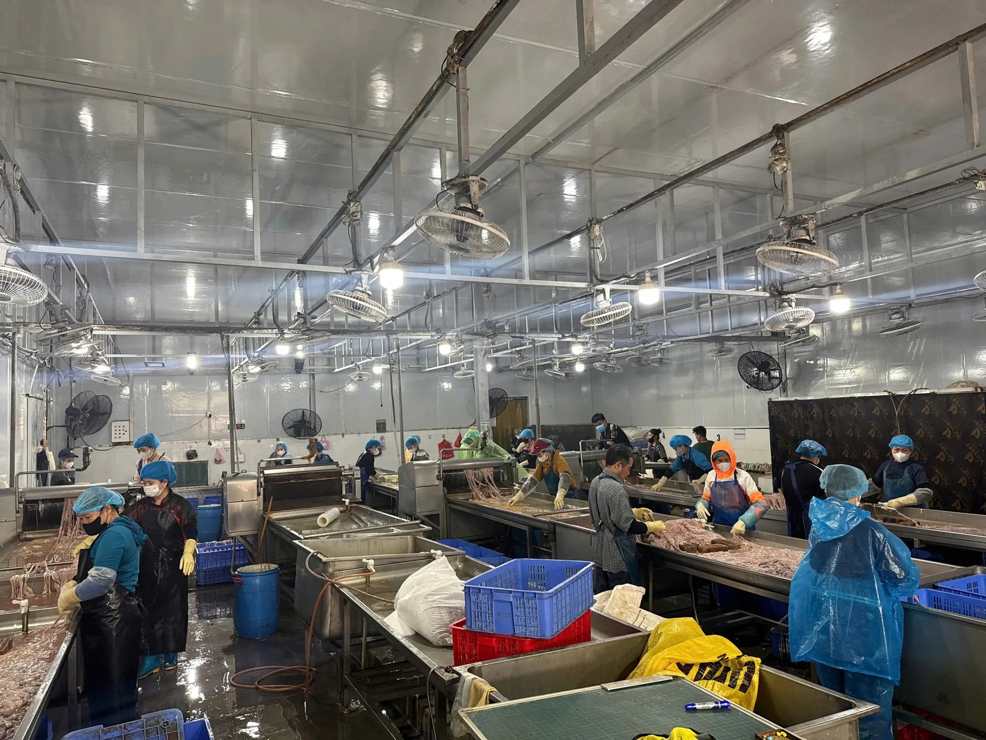 Cận cảnh 60 tấn l&ograve;ng lợn kh&ocirc;ng r&otilde; nguồn gốc bốc m&ugrave;i ở H&agrave; Nội chuẩn bị ti&ecirc;u thụ - Ảnh 8.