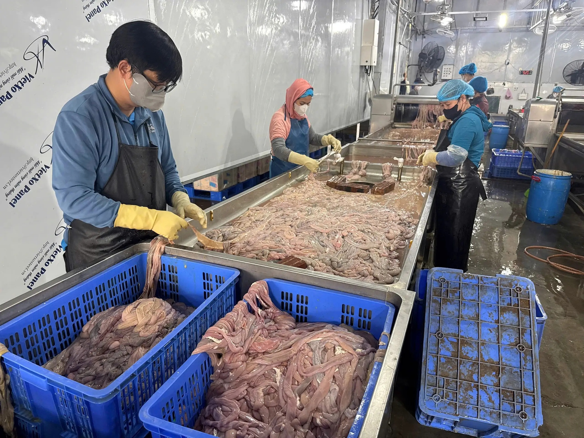 Cận cảnh 60 tấn l&ograve;ng lợn kh&ocirc;ng r&otilde; nguồn gốc bốc m&ugrave;i ở H&agrave; Nội chuẩn bị ti&ecirc;u thụ - Ảnh 10.