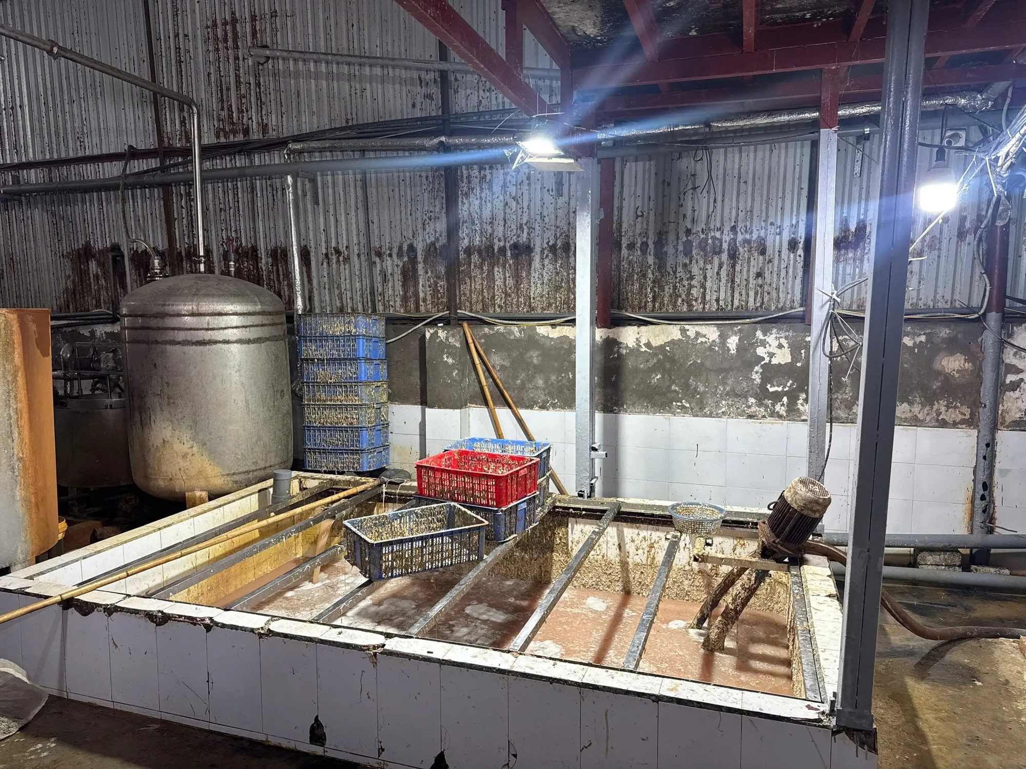 Cận cảnh 60 tấn l&ograve;ng lợn kh&ocirc;ng r&otilde; nguồn gốc bốc m&ugrave;i ở H&agrave; Nội chuẩn bị ti&ecirc;u thụ - Ảnh 7.