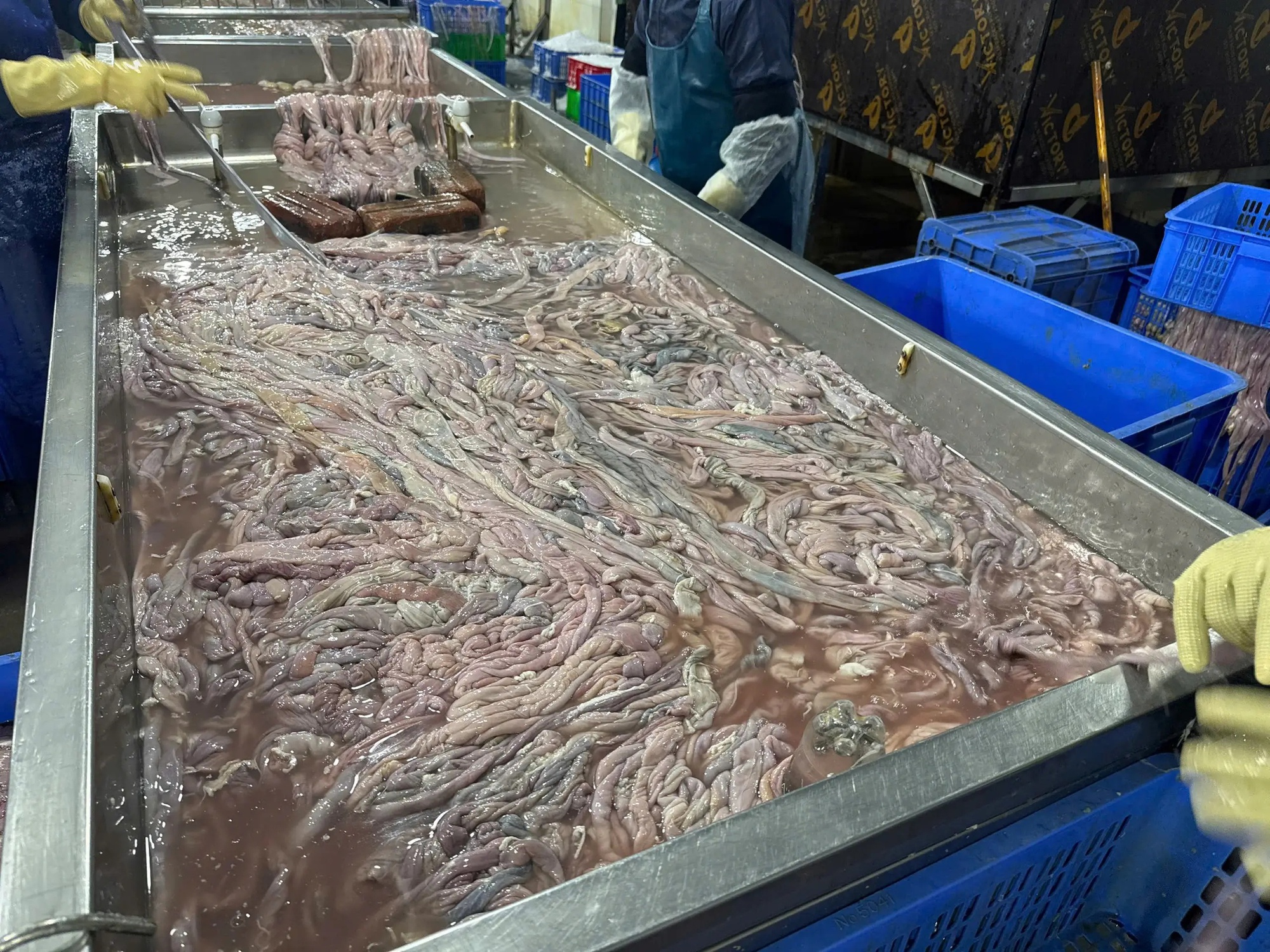 Cận cảnh 60 tấn l&ograve;ng lợn kh&ocirc;ng r&otilde; nguồn gốc bốc m&ugrave;i ở H&agrave; Nội chuẩn bị ti&ecirc;u thụ - Ảnh 9.