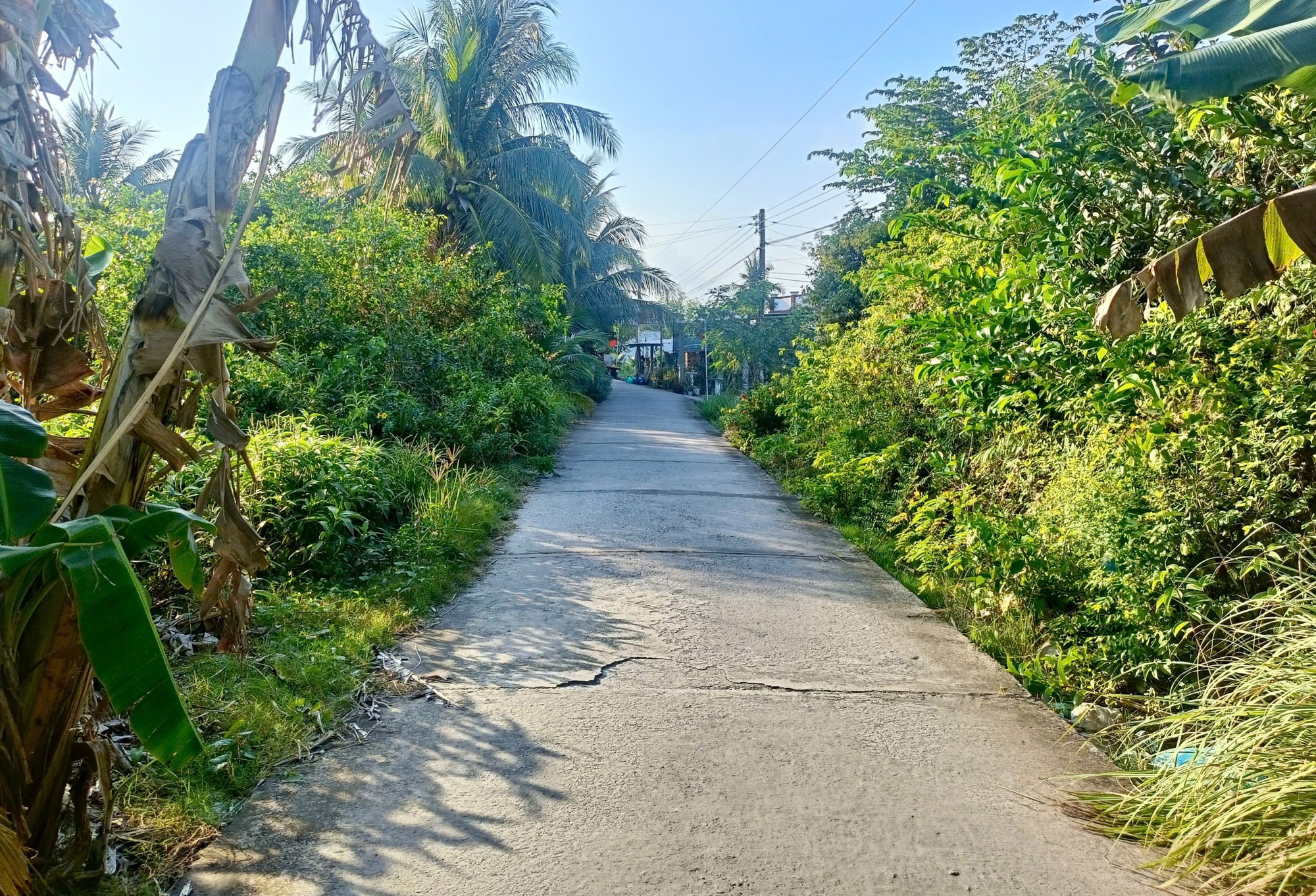 Th&ocirc;ng tin mới vụ 2 mẹ con bị s&aacute;t hại ở C&agrave; Mau - Ảnh 1.