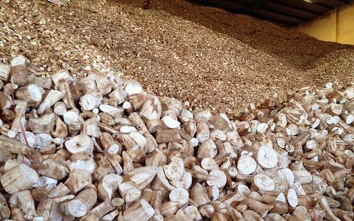 Sản vật được v&iacute; như 