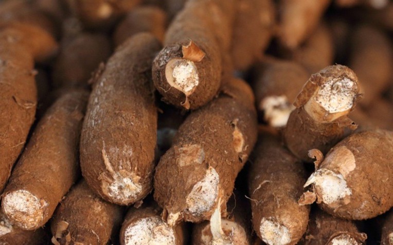 Sản vật được v&iacute; như 