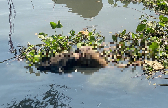 Thi thể cao 1,69m tr&ocirc;i tr&ecirc;n s&ocirc;ng S&agrave;i G&ograve;n, ai l&agrave; th&acirc;n nh&acirc;n nạn nh&acirc;n? - Ảnh 1.