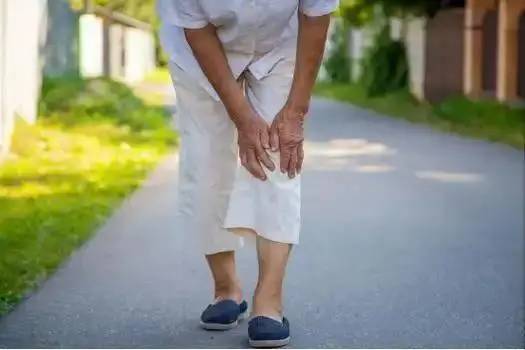 Trứng đứng thứ 5 trong số c&aacute;c loại thực phẩm gi&agrave;u protein ph&ugrave; hợp nhất cho người cao tuổi, đứng đầu 