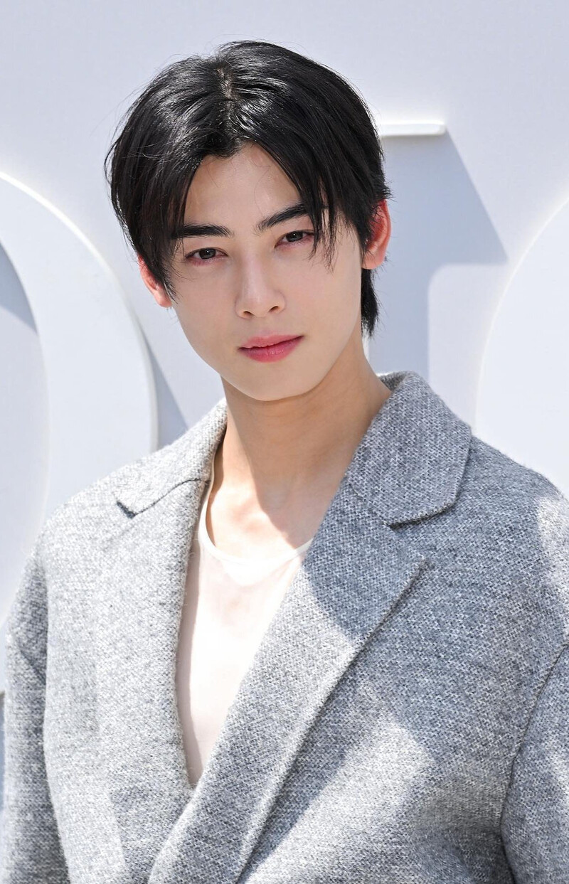 230623-cha-eunwoo-at-dior-men-s-summer-24-paris-fashion-week-show-documents-1-115752-1767599071003-1767599071402685913601.jpeg