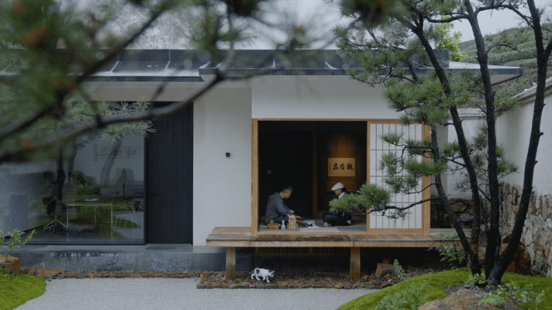 300m² đất thuê, 30 năm chỉ trồng 2 loại cây: Một bài toán “giữ tiền” ngược đời của đôi vợ chồng trung niên- Ảnh 16. 300m² đất thuê, 30 năm chỉ trồng 2 loại cây: Một bài toán “giữ tiền” ngược đời của đôi vợ chồng trung niên- Ảnh 16.