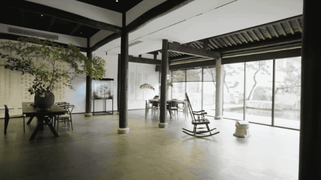 300m² đất thuê, 30 năm chỉ trồng 2 loại cây: Một bài toán “giữ tiền” ngược đời của đôi vợ chồng trung niên- Ảnh 11. 300m² đất thuê, 30 năm chỉ trồng 2 loại cây: Một bài toán “giữ tiền” ngược đời của đôi vợ chồng trung niên- Ảnh 11.