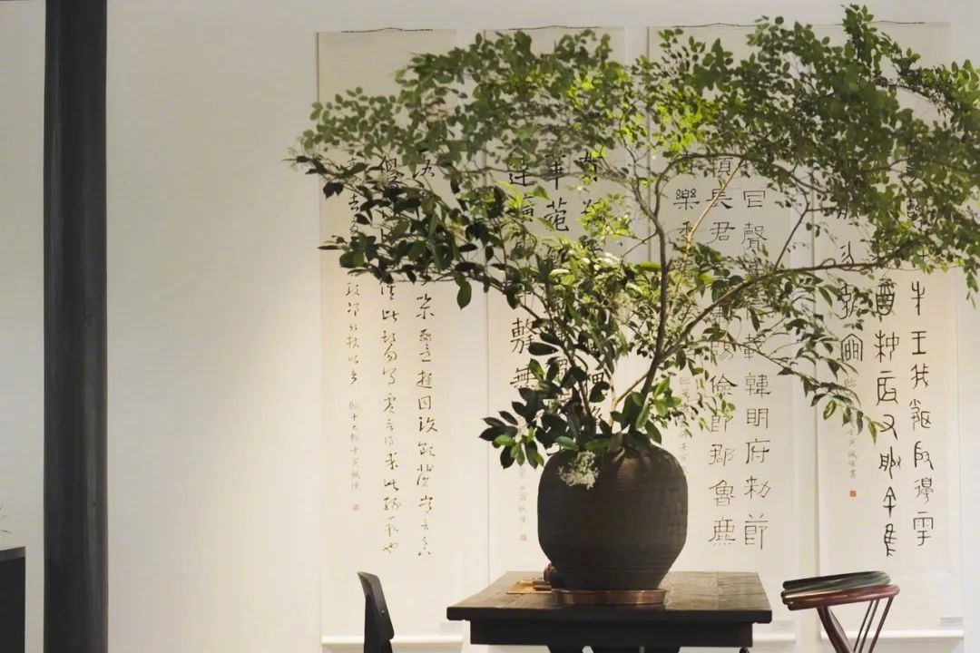 300m² đất thuê, 30 năm chỉ trồng 2 loại cây: Một bài toán “giữ tiền” ngược đời của đôi vợ chồng trung niên- Ảnh 17. 300m² đất thuê, 30 năm chỉ trồng 2 loại cây: Một bài toán “giữ tiền” ngược đời của đôi vợ chồng trung niên- Ảnh 17.