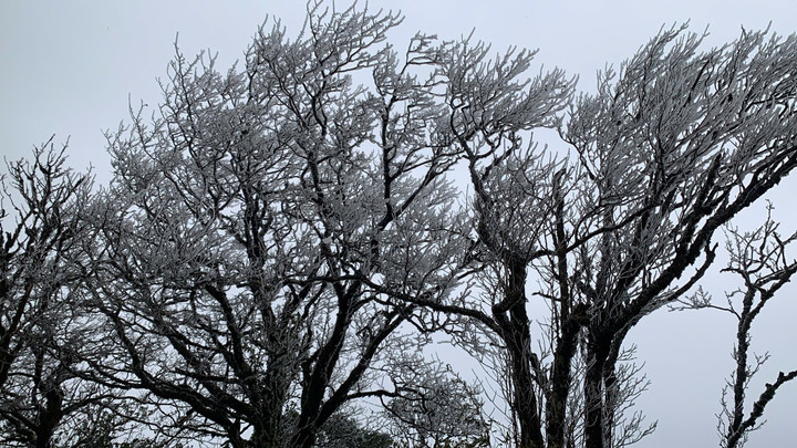 Băng gi&aacute; phủ trắng đỉnh Phia Oắc Cao Bằng thu h&uacute;t du kh&aacute;ch m&ugrave;a đ&ocirc;ng - Ảnh 1.