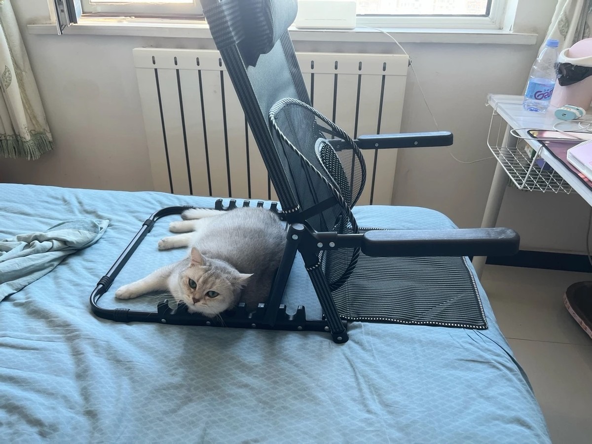 Nh&igrave;n lại 10 năm mua sắm, đ&acirc;y l&agrave; 4 m&oacute;n t&ocirc;i kh&ocirc;ng hề hối hận- Ảnh 4.