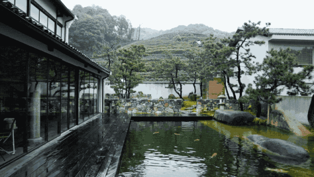 300m² đất thuê, 30 năm chỉ trồng 2 loại cây: Một bài toán “giữ tiền” ngược đời của đôi vợ chồng trung niên- Ảnh 2. 300m² đất thuê, 30 năm chỉ trồng 2 loại cây: Một bài toán “giữ tiền” ngược đời của đôi vợ chồng trung niên- Ảnh 2.