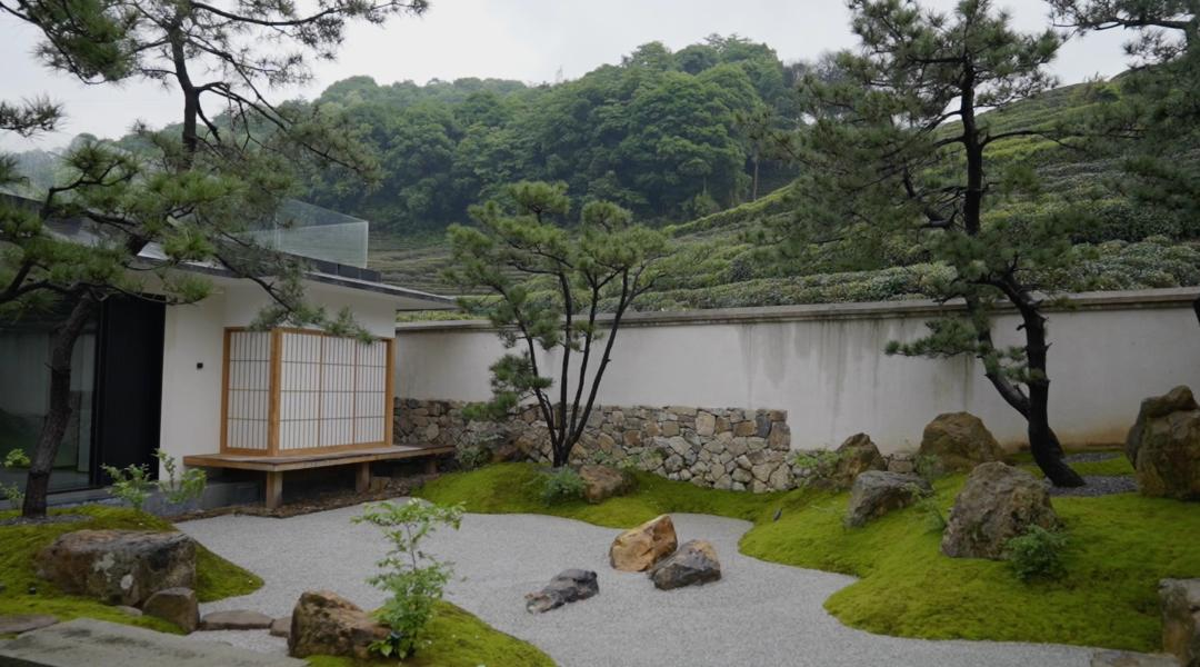 300m² đất thuê, 30 năm chỉ trồng 2 loại cây: Một bài toán “giữ tiền” ngược đời của đôi vợ chồng trung niên- Ảnh 1. 300m² đất thuê, 30 năm chỉ trồng 2 loại cây: Một bài toán “giữ tiền” ngược đời của đôi vợ chồng trung niên- Ảnh 1.