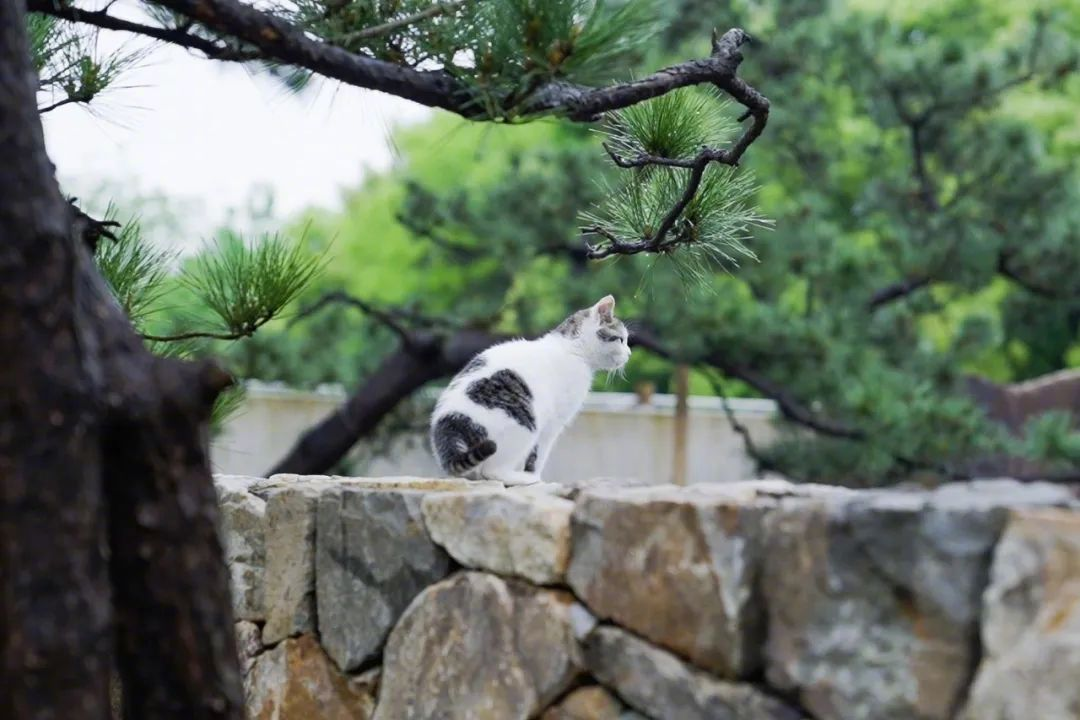 300m² đất thuê, 30 năm chỉ trồng 2 loại cây: Một bài toán “giữ tiền” ngược đời của đôi vợ chồng trung niên- Ảnh 4. 300m² đất thuê, 30 năm chỉ trồng 2 loại cây: Một bài toán “giữ tiền” ngược đời của đôi vợ chồng trung niên- Ảnh 4.