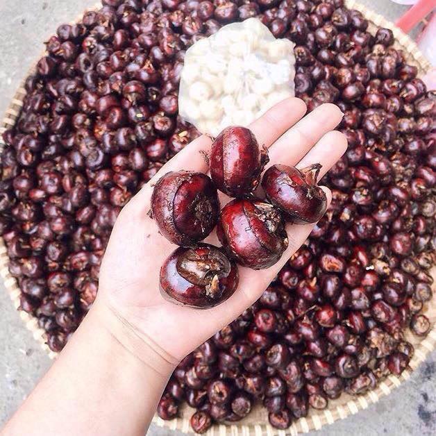 Củ mã thầy - 3 trong 1 giải độc , bổ phổi , tốt cho sức khỏe gia đình - Ảnh 1. Củ mã thầy - 3 trong 1 giải độc , bổ phổi , tốt cho sức khỏe gia đình - Ảnh 1.