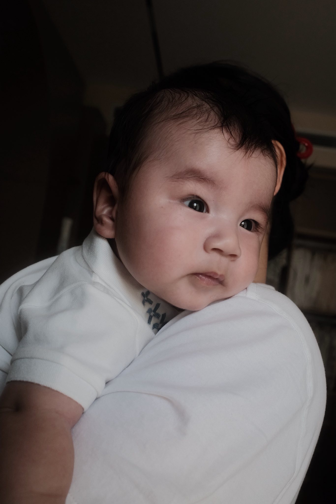 Bé Panda - quý tử nhà MC Mai Ngọc: Chú bé siêu trộm vía, cứng cáp và bụ bẫm với đôi mắt biết cười- Ảnh 20. Bé Panda - quý tử nhà MC Mai Ngọc: Chú bé siêu trộm vía, cứng cáp và bụ bẫm với đôi mắt biết cười- Ảnh 20.