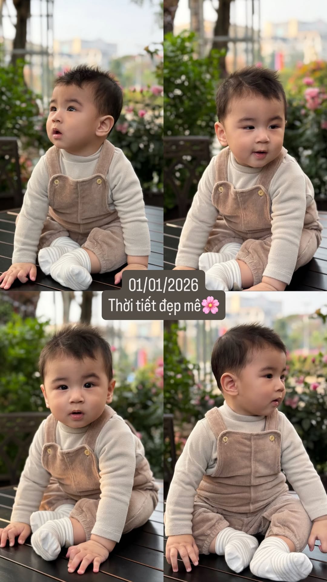 Bé Panda - quý tử nhà MC Mai Ngọc: Chú bé siêu trộm vía, cứng cáp và bụ bẫm với đôi mắt biết cười- Ảnh 2. Bé Panda - quý tử nhà MC Mai Ngọc: Chú bé siêu trộm vía, cứng cáp và bụ bẫm với đôi mắt biết cười- Ảnh 2.