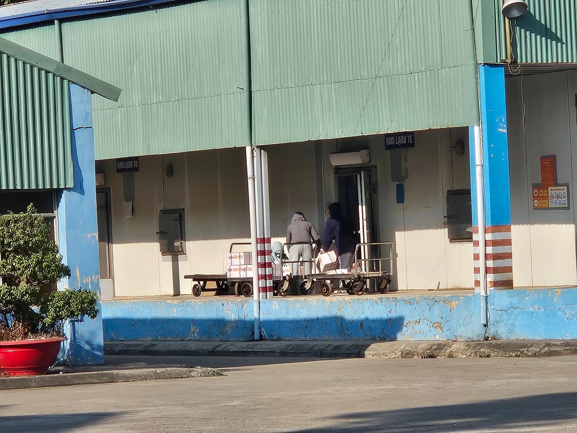 Vụ 120 tấn thịt lợn nhiễm bệnh: C&ocirc;ng ty đồ hộp Hạ Long khẳng định hoạt động b&igrave;nh thường - Ảnh 2.