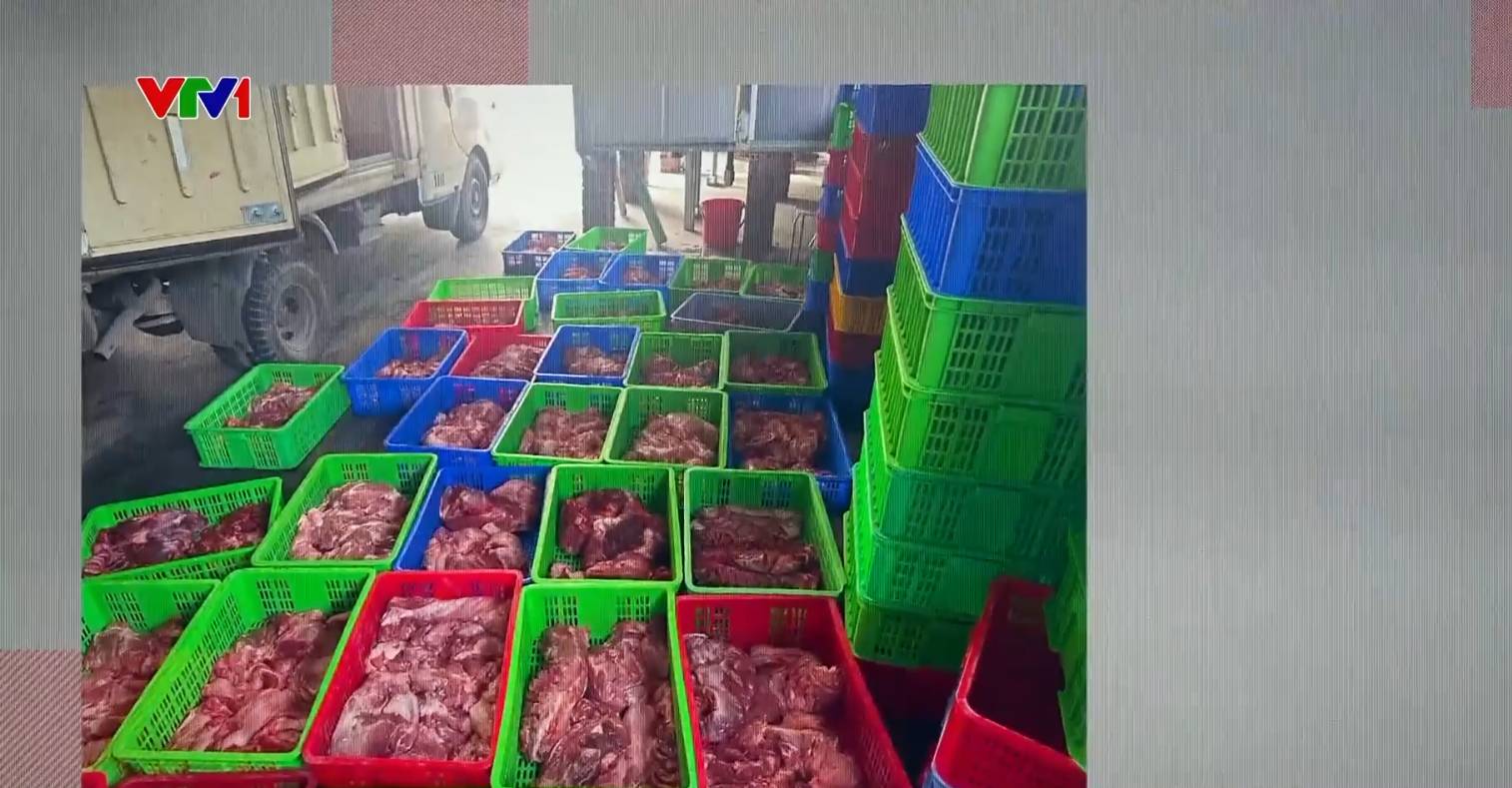 Ph&aacute;t hiện kho h&agrave;ng chứa 120 tấn thịt lợn bệnh của C&ocirc;ng ty CP Đồ hộp Hạ Long - Ảnh 7.