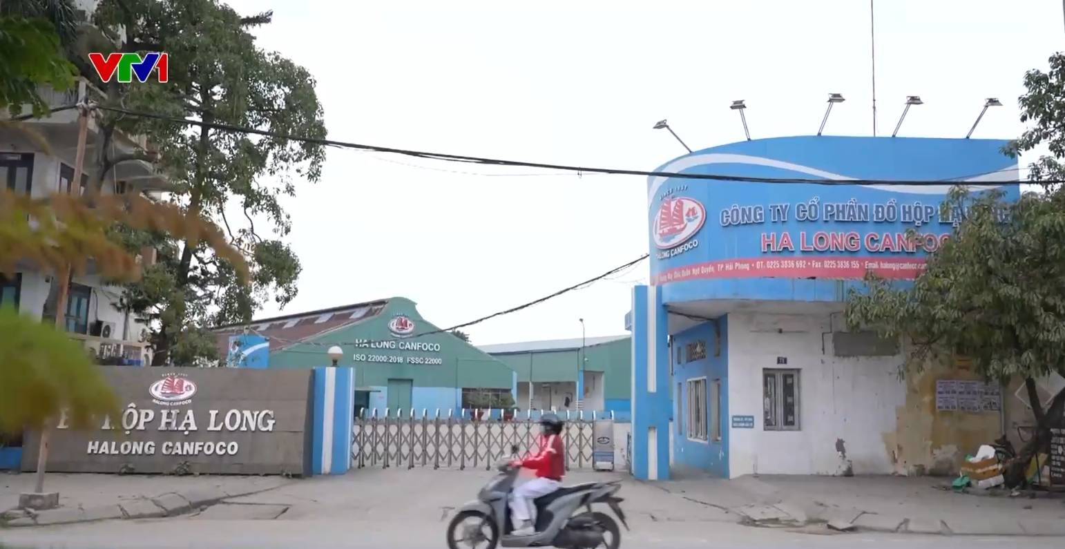 Ph&aacute;t hiện kho h&agrave;ng chứa 120 tấn thịt lợn bệnh của C&ocirc;ng ty CP Đồ hộp Hạ Long - Ảnh 10.