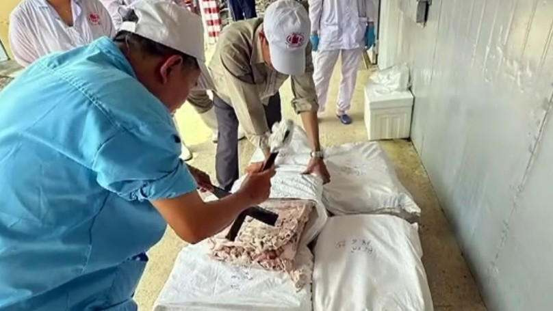 Thủ đoạn tuồn thịt lợn nhiễm dịch bệnh v&agrave;o kho C&ocirc;ng ty đồ hộp ở Hải Ph&ograve;ng - Ảnh 3.