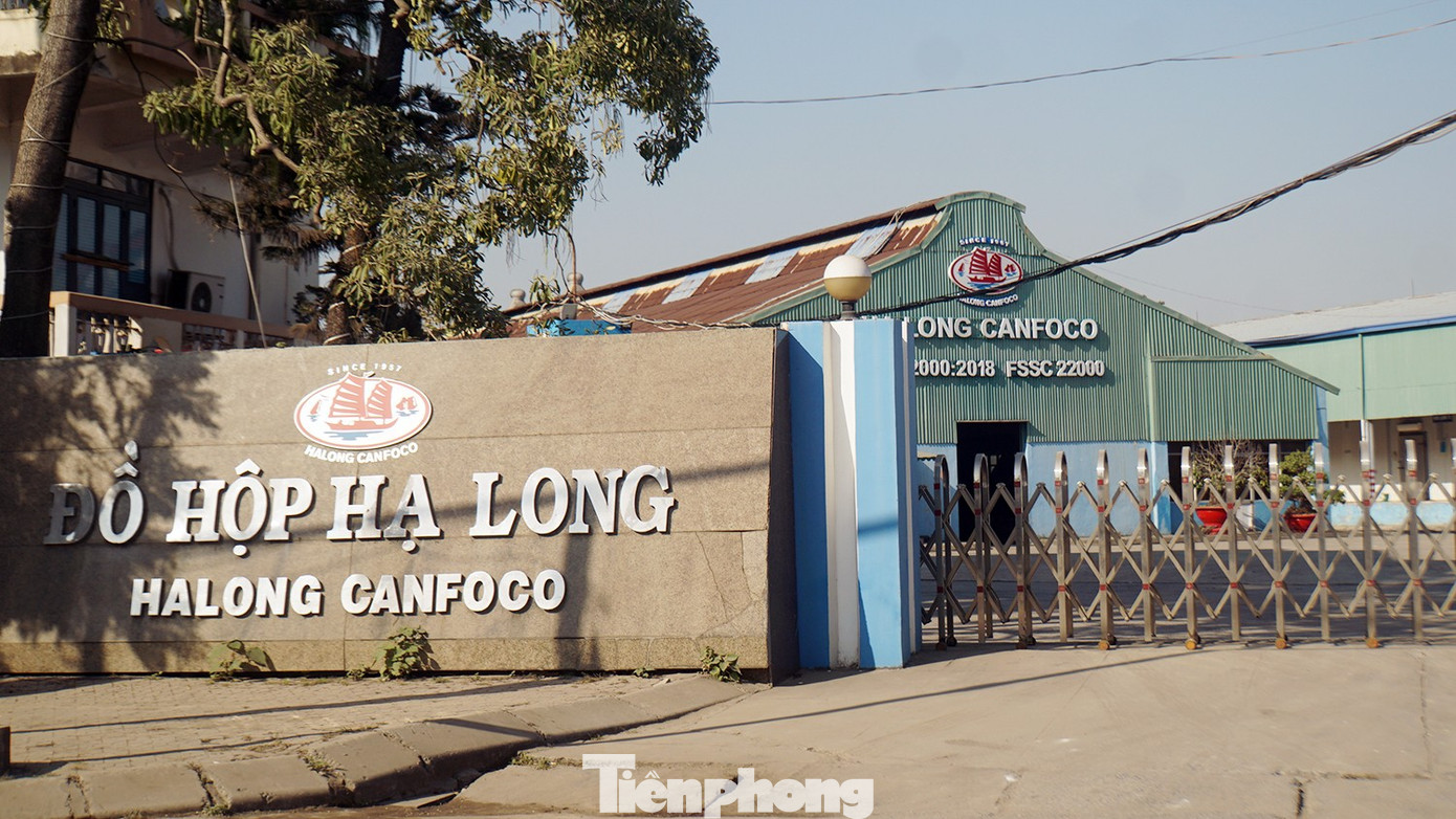 Thủ đoạn tuồn thịt lợn nhiễm dịch bệnh v&agrave;o kho C&ocirc;ng ty đồ hộp ở Hải Ph&ograve;ng - Ảnh 1.