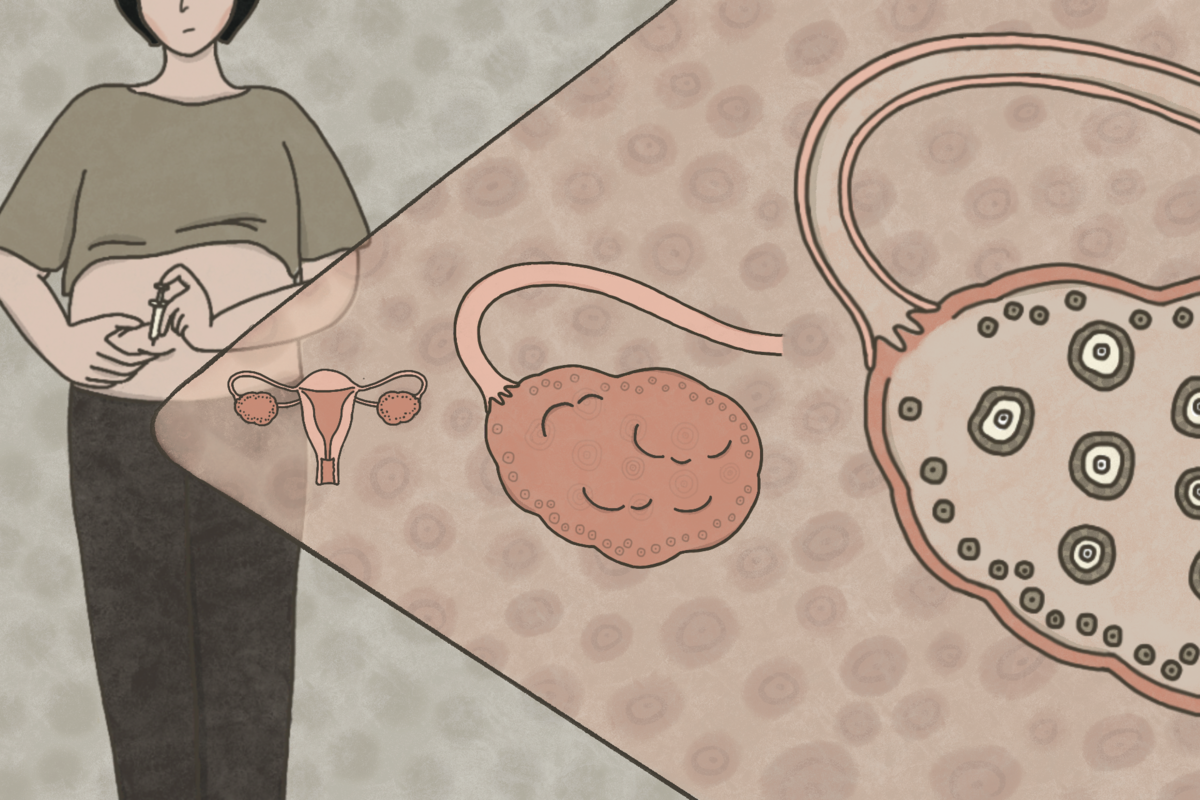 Phụ nữ cả đời chỉ c&oacute; 400 quả trứng? Sự thật về chuyện 