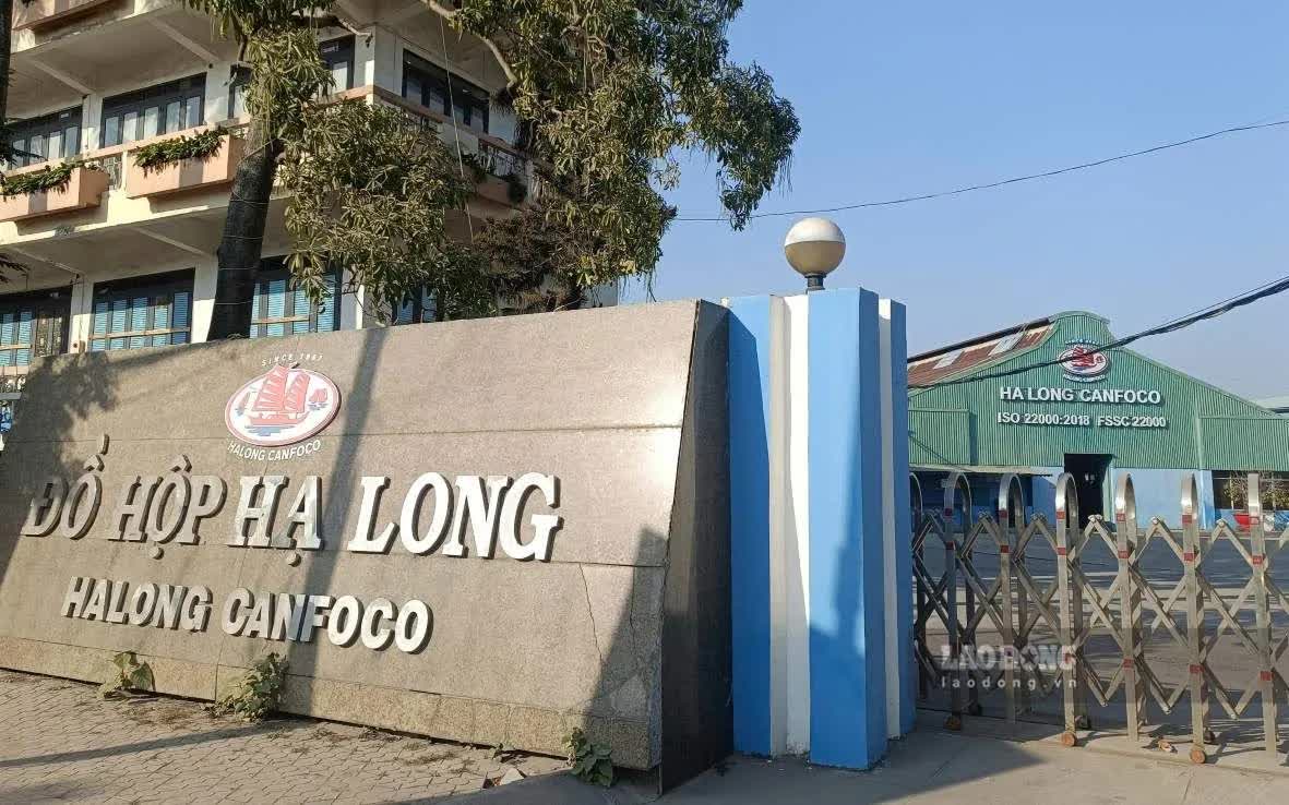 Cựu Tổng Gi&aacute;m đốc Đồ hộp Hạ Long Nhận &aacute;n 19 năm t&ugrave; v&igrave; vi phạm an to&agrave;n thực phẩm - Ảnh 1.