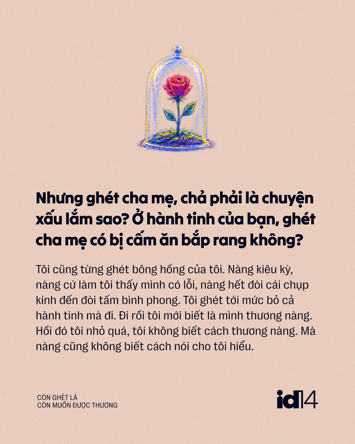  - Ảnh 3.