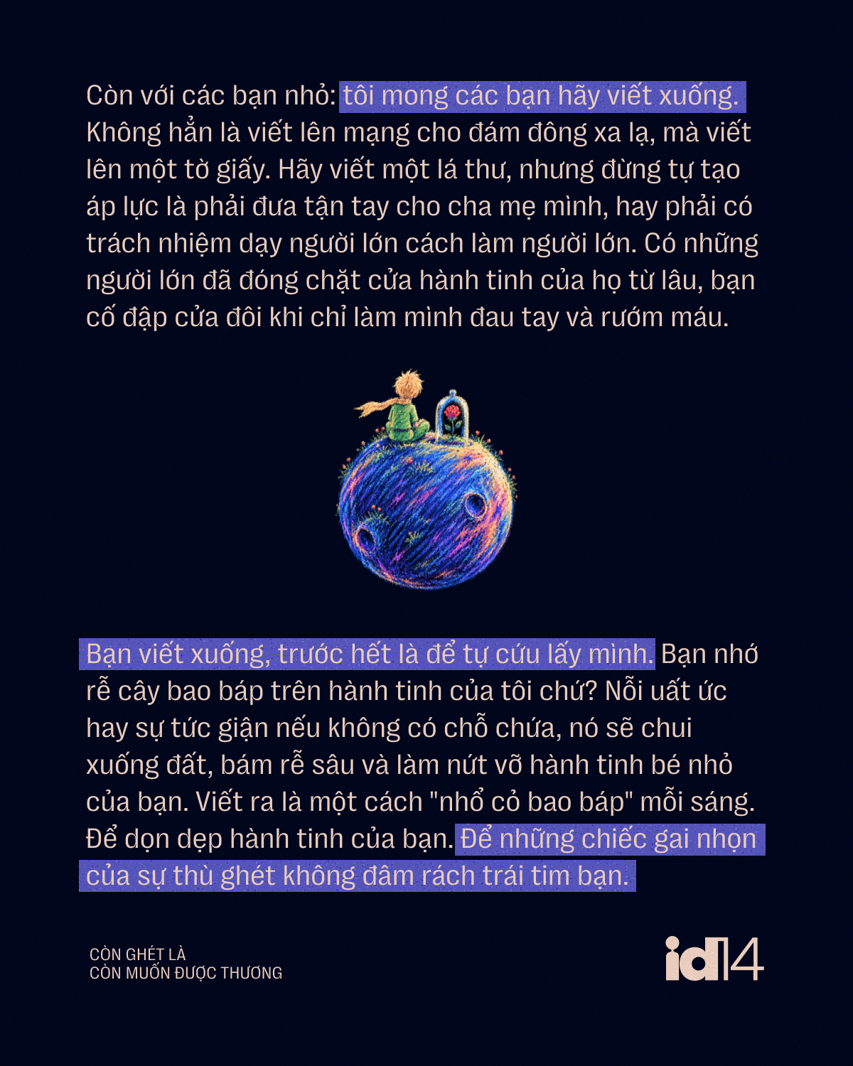  - Ảnh 13.