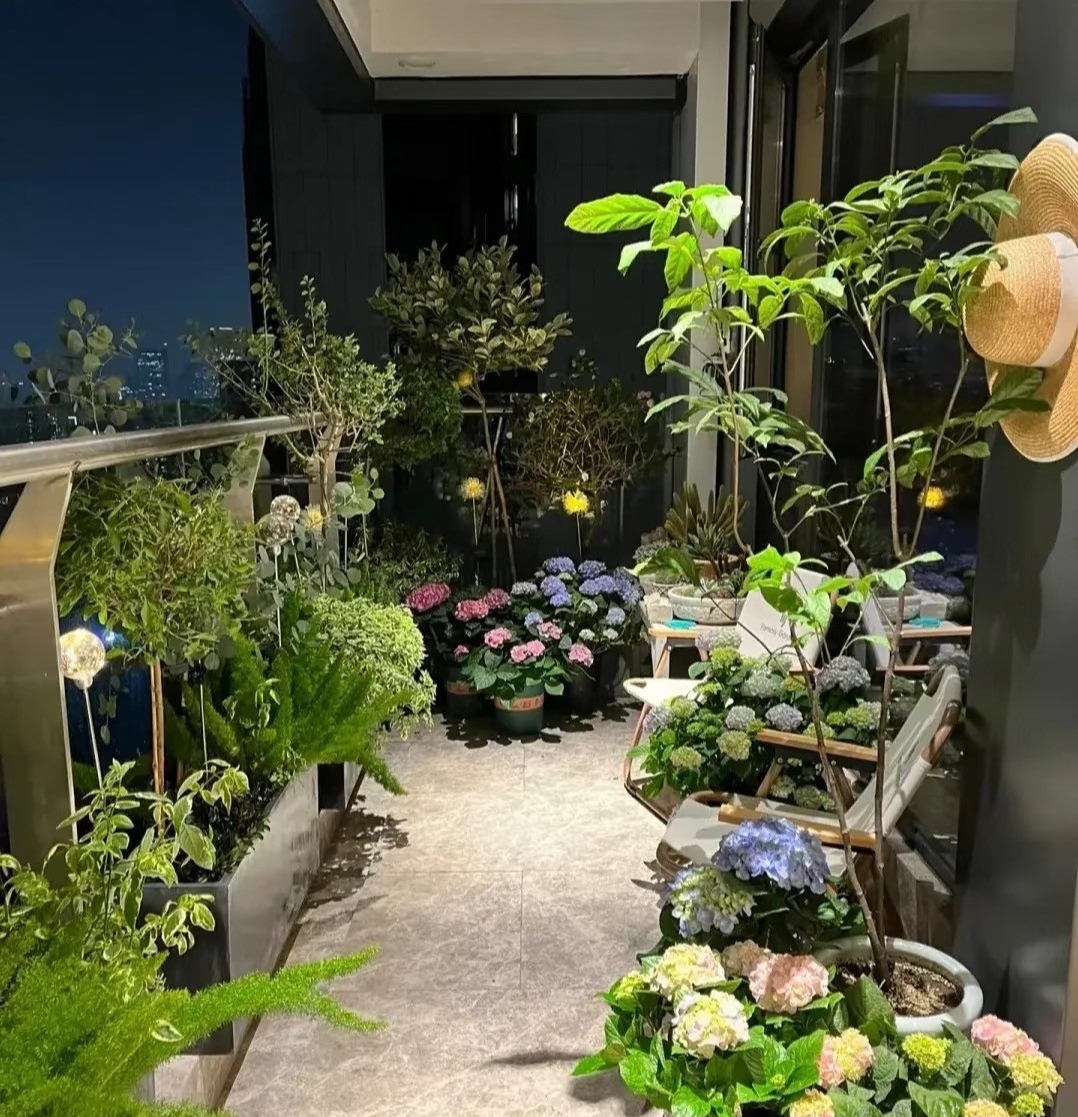 5 mẹo trồng cây được chia sẻ rầm rộ trên mạng: Có cách gần như không tốn tiền nhưng cây vẫn xanh tốt - Ảnh 10.
